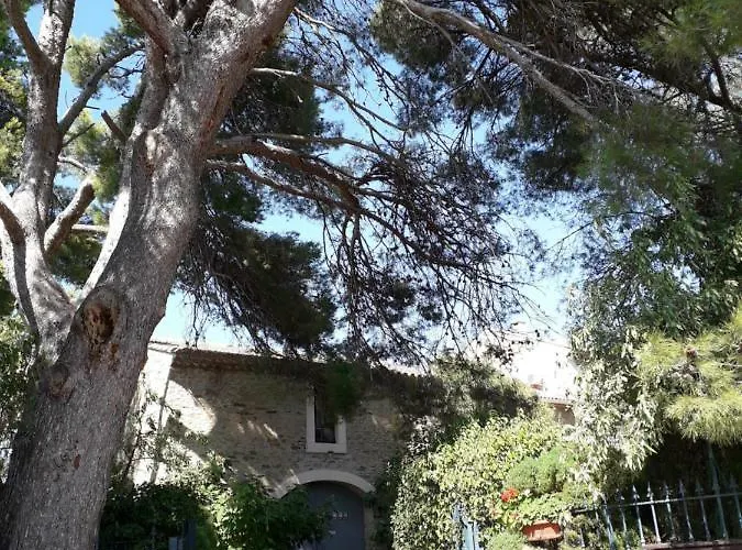Domaine De La Pinsonniere Holiday home La Liviniere